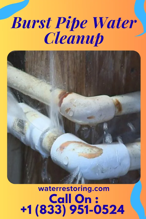 Burst Pipe Water Cleanup in Millbourne, PA