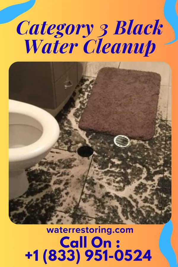 Category 3 Black Water Cleanup in Millbourne, PA
