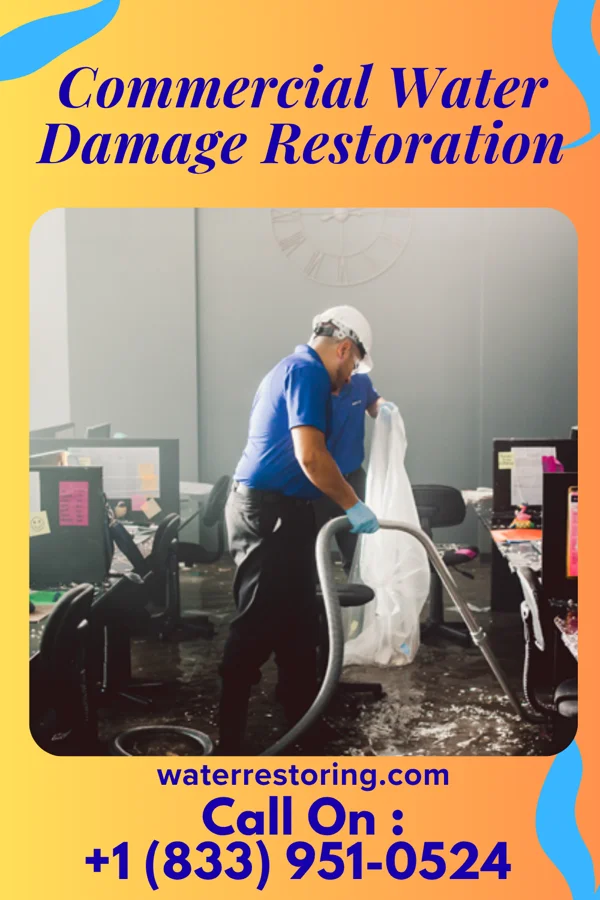 Commercial Water Damage Restoration in Millbourne, PA