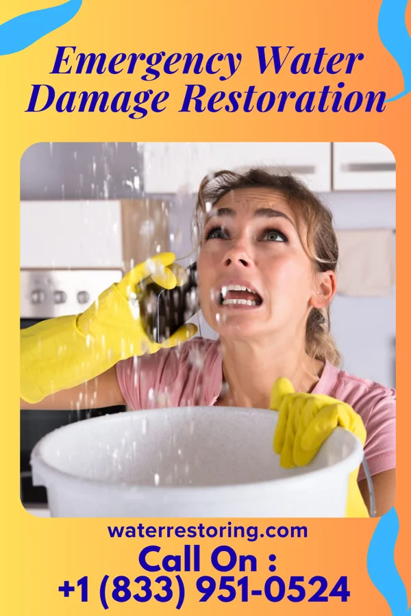 Emergency Water Damage Restoration in Millbourne, PA