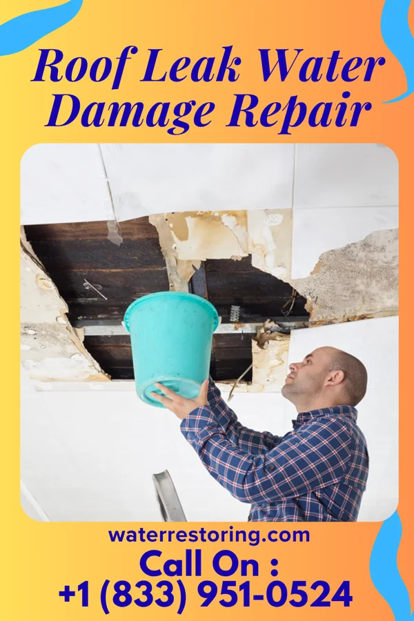 Roof Leak Water Damage Repair in Millbourne, PA