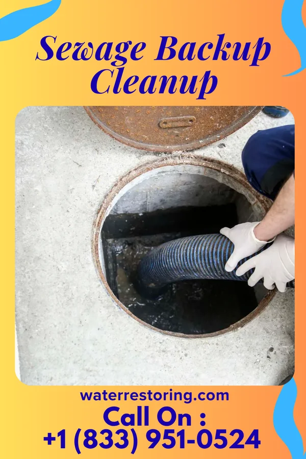 Sewage Backup Cleanup in Millbourne, PA