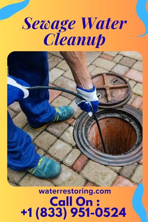 Sewage Water Cleanup in Millbourne, PA